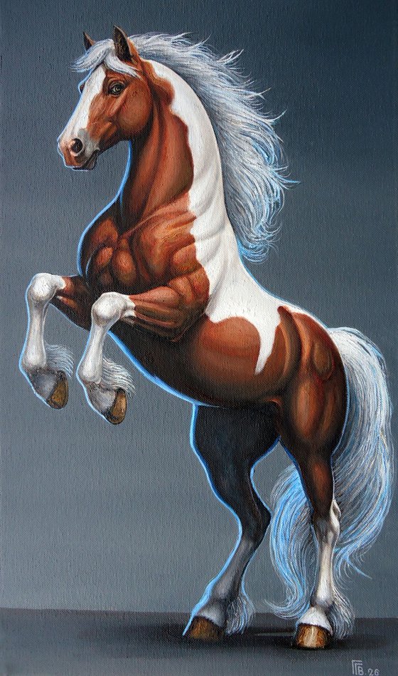 "Splendor"