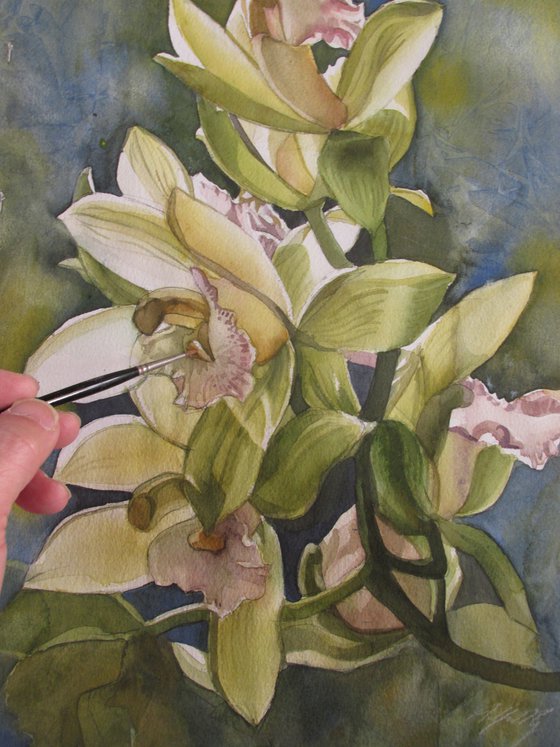 winter cymbidium orchid watercolor floral