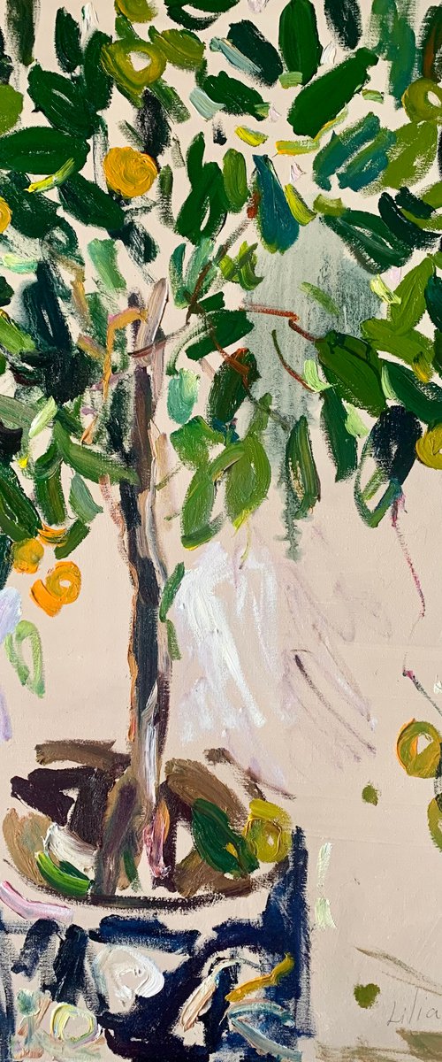 Calamondin in a blue pot. by Lilia Orlova-Holmes