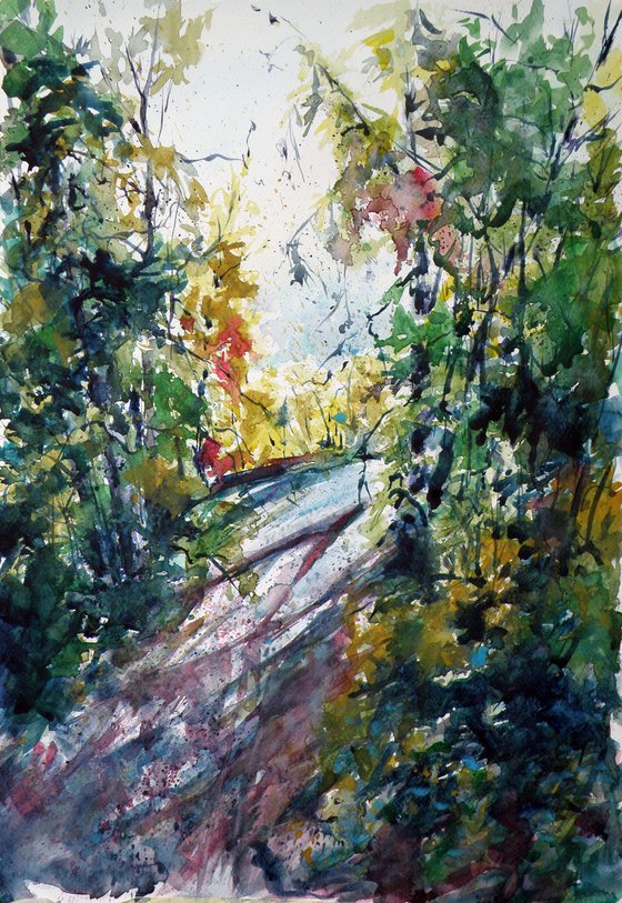 Forest