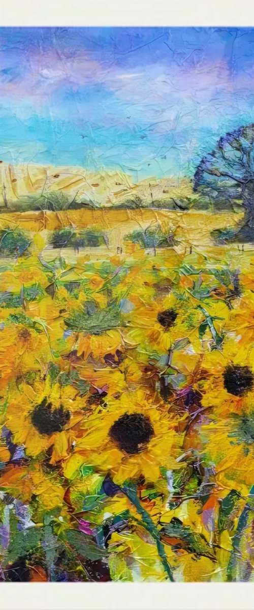 Sunflower Field by Michele Wallington