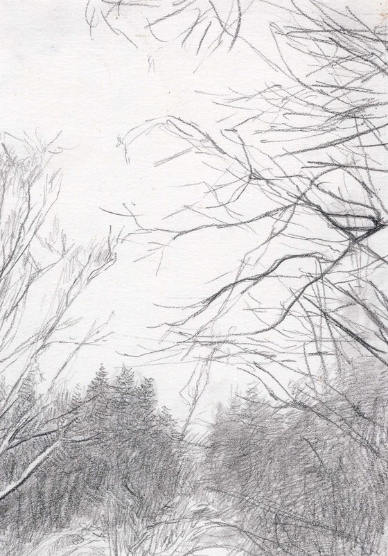 The Vorya River. Thaw