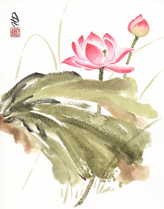 Lotus After the Rain
