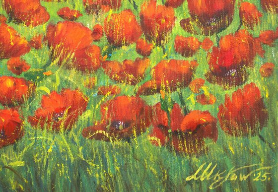 Serene poppy field