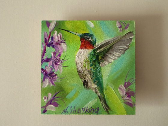 Hummingbird