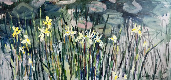 Irises by the pond