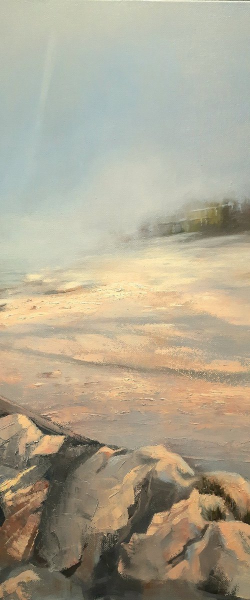 The Red House at misty beach by Irina Sergeyeva