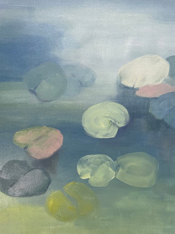 Waterlilies