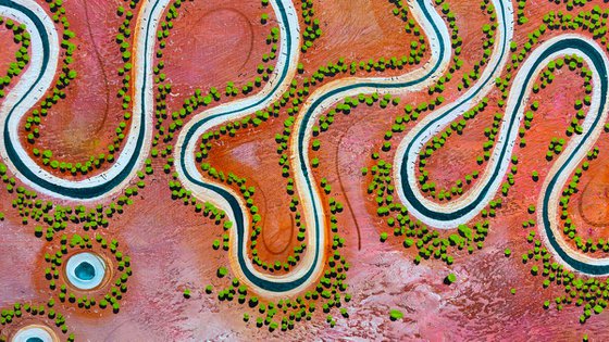 The Earth In Full Song