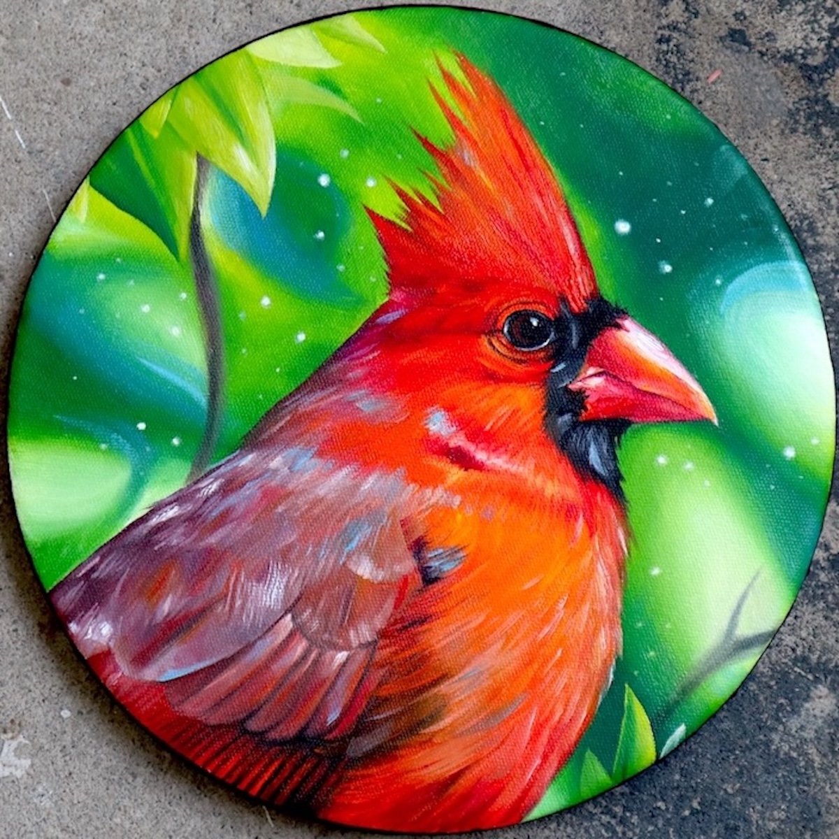 Photorealistic Animal Oil Painting By Amani Muhammad, 10 X 10, Cardinal, Original Artwork