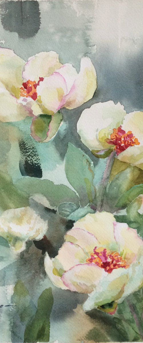 Yellow peonies by Svitlana Druzhko