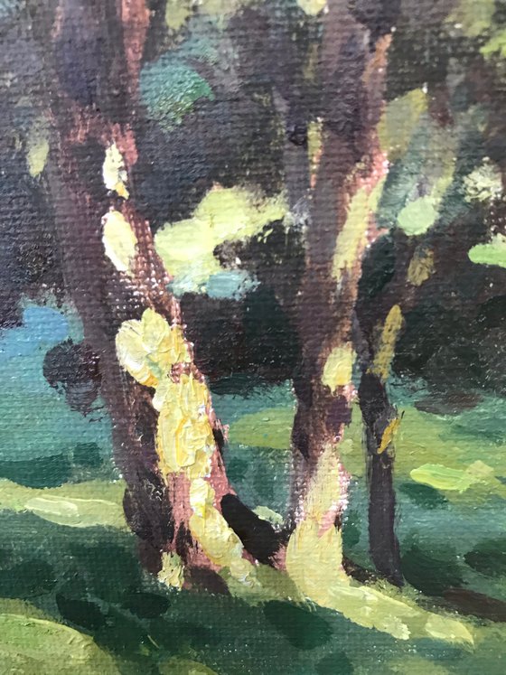 Original Oil Painting Wall Art Signed unframed Hand Made Jixiang Dong Canvas 25cm × 20cm Sunshine in the Woods landscape Small Impressionism Impasto