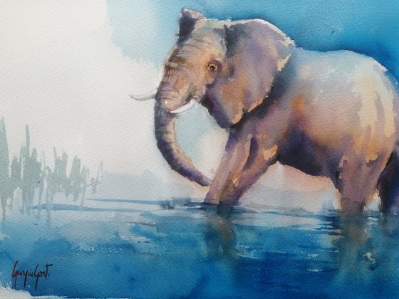 elephant 25