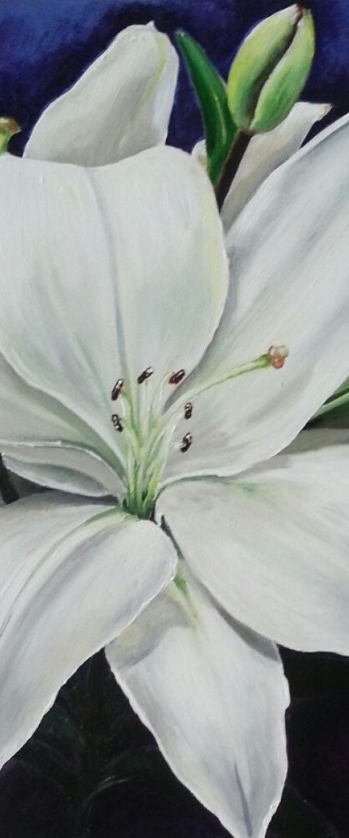 Lilies by Karen Elaine  Evans