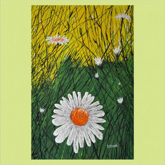 Leucanthemum And Grass