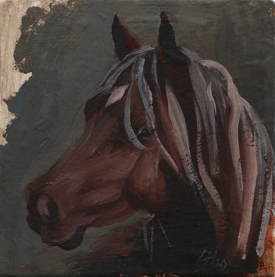 Equine Head Arab Chestnut (study 185)