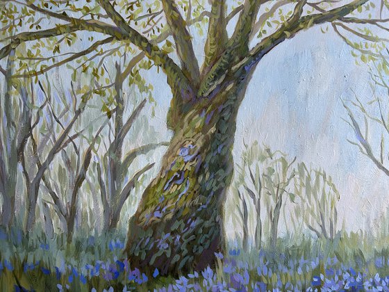 Springtime in the Woods II