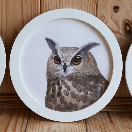 Framed owl. Part 2.