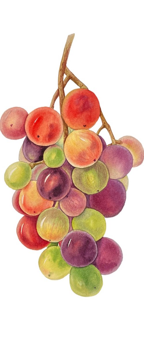 A bunch of grapes. Original watercolour arwork. by Nataliia Kupchyk