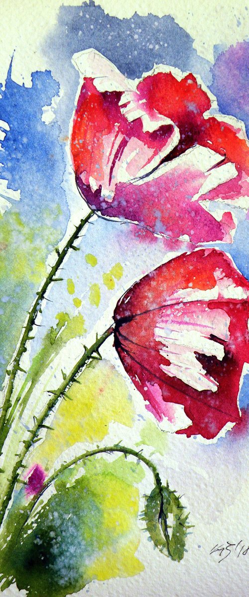Poppy flowers by Kovács Anna Brigitta
