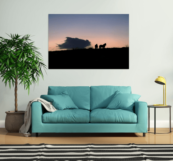 HORSES AT DUSK