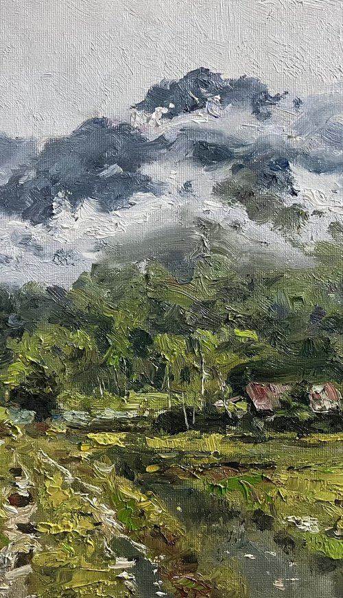 Morning Mist by Sarawut Donrasri