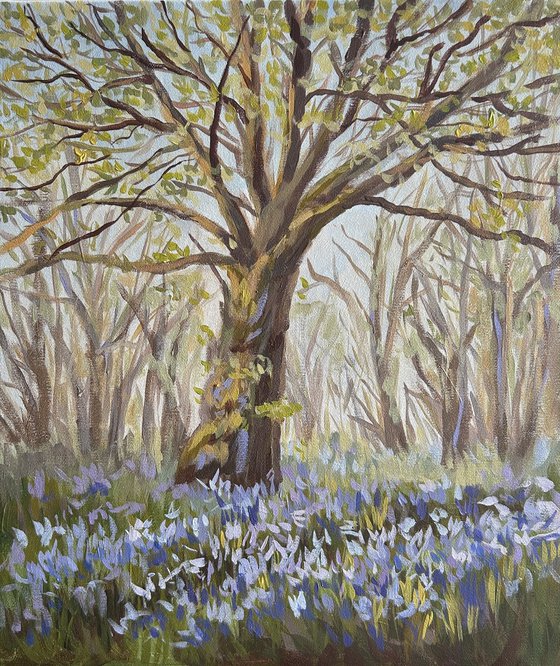 Spring in the Woods