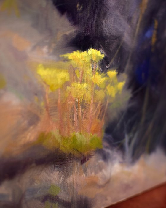 Wild stonecrop sedum flowers in blue grass