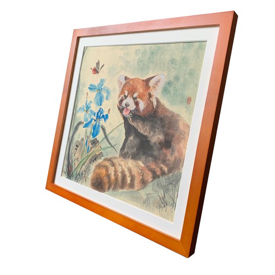 Red Panda & Blue Irises