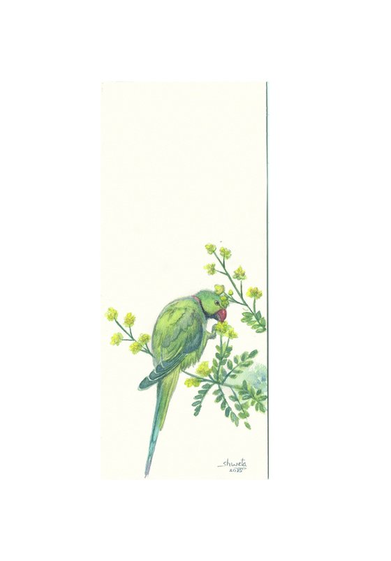 Rose ringed Parakeets