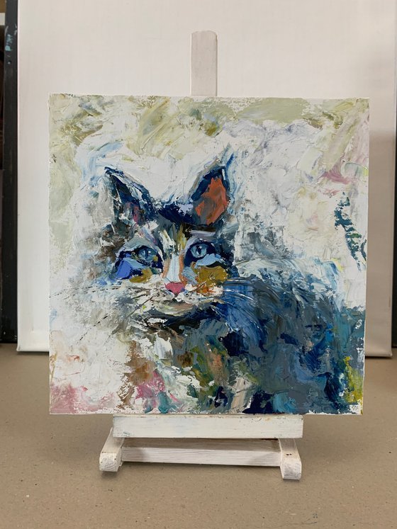 Blue black Cat portrait.