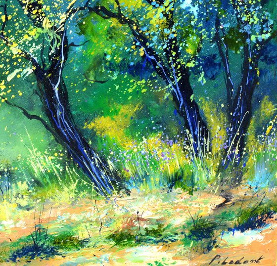 Leprechauns' meeting place