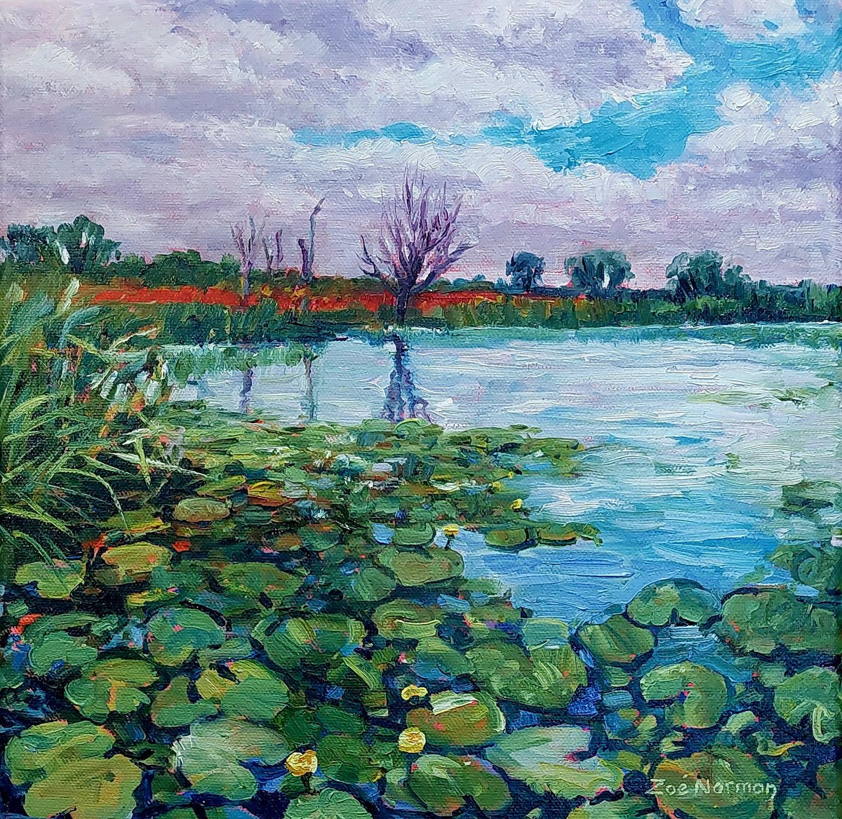 Impressionistic Botanical Oil Painting By Zoe Elizabeth Norman, 12 X 12", Waterlilies On The River Bure, Original Artwork