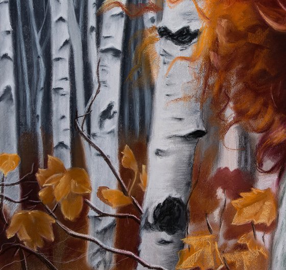 Red autumn in the birch forest