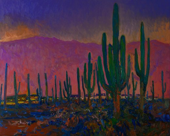 Saguaros, Dusk