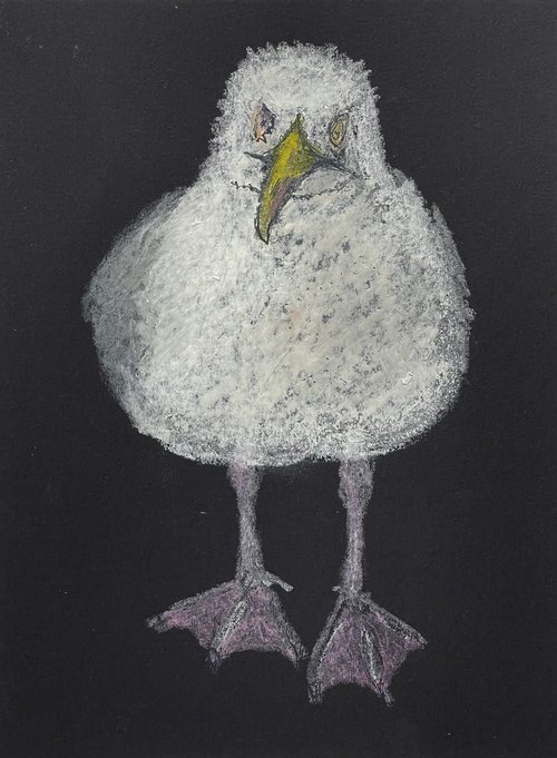 Seagull by David Lloyd