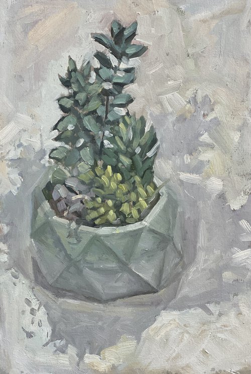 Succulent in an octagonal pot by Louise Gillard