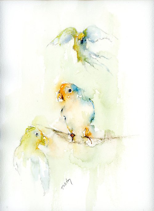 Three Parrots by Alex Tolstoy