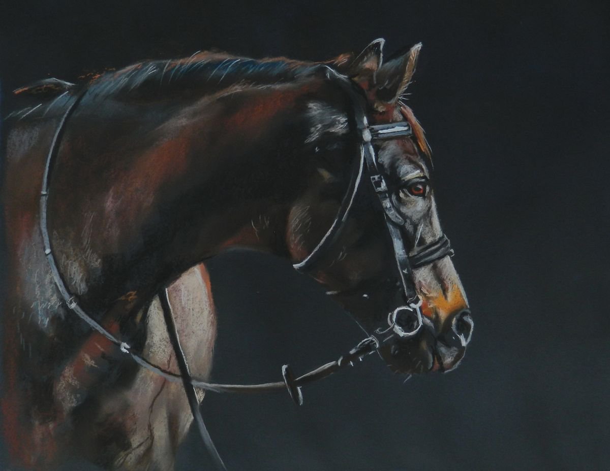 Horse portrait II by Magdalena Palega