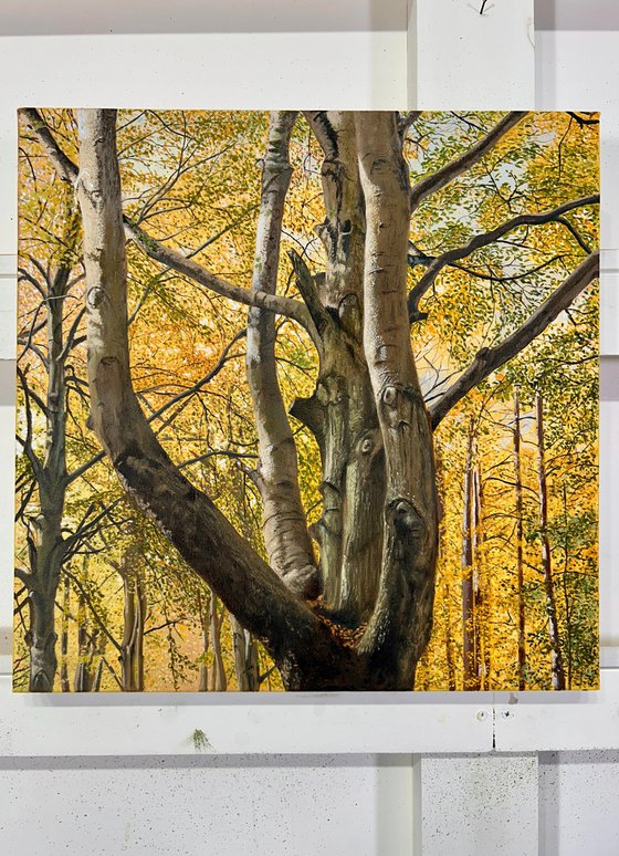 Autumn Forest Painting