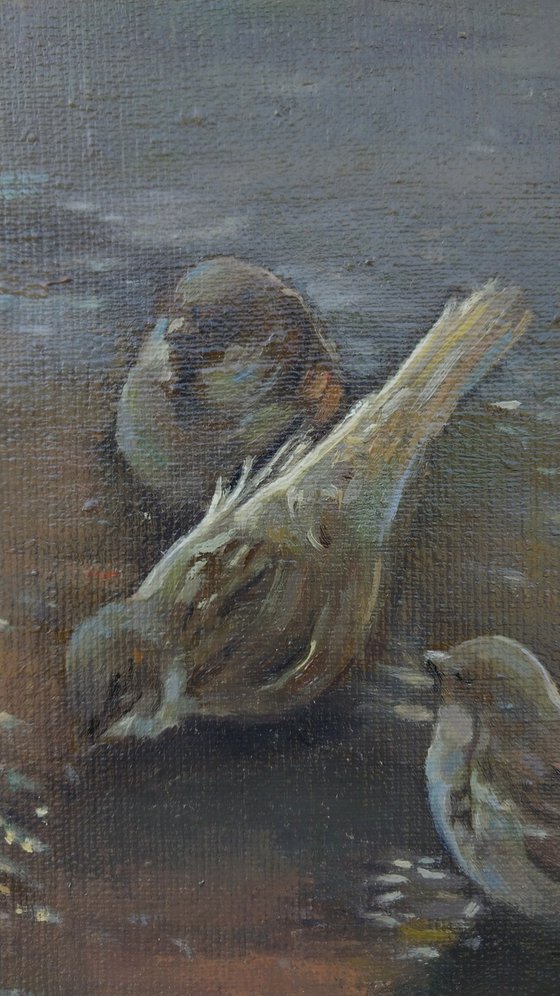 Sparrows Gathering