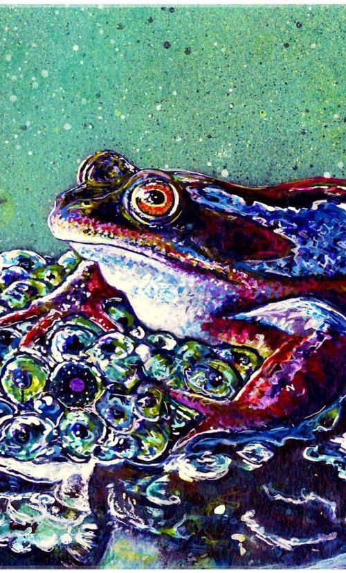 Spirit Animal - Frog by Nicola McLean