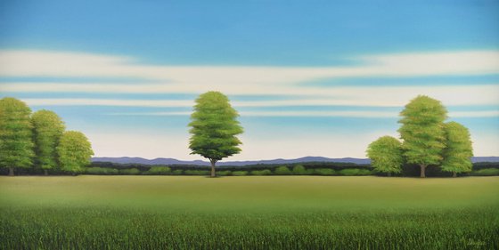 Countryside Trees - Blue Sky