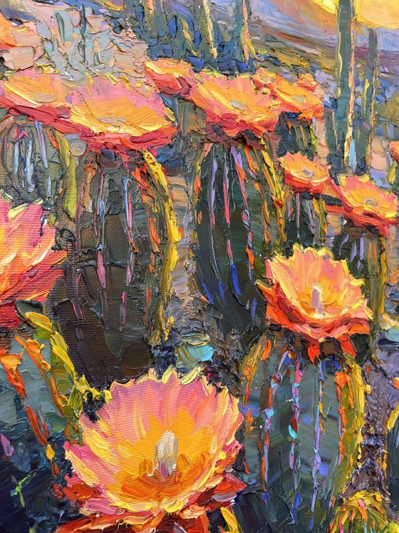 "Morning in Canyon "