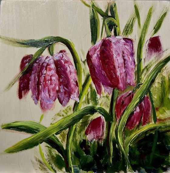 Snakes Head Fritillaries