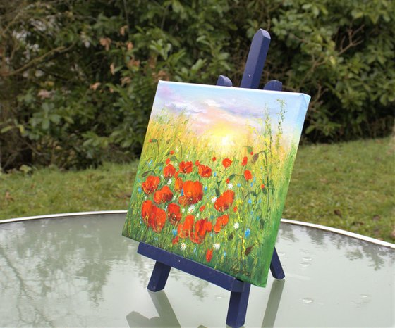 Poppy field in summer 2