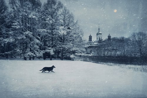 Winter Nights. by Valerix