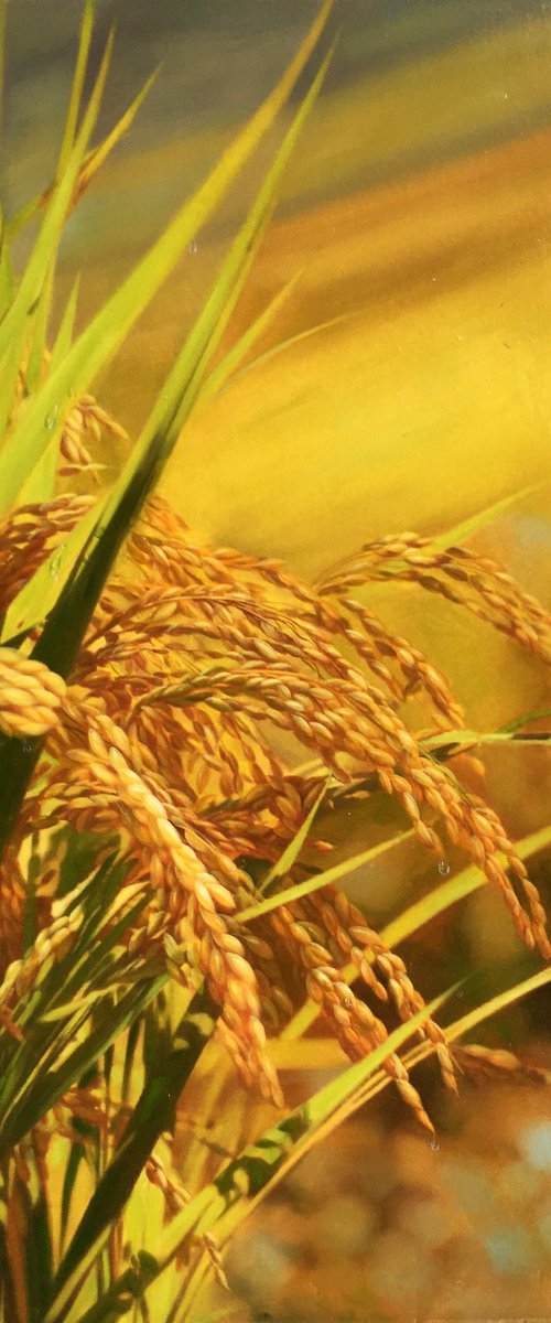 Realism rice oil painting:harvest t207 by Kunlong Wang
