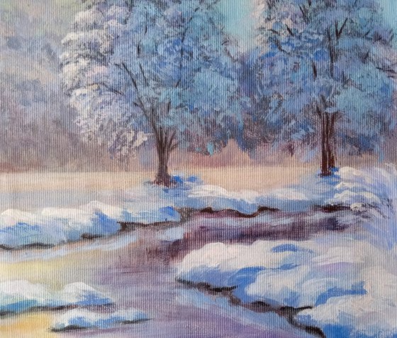 Winter dawn in the forest