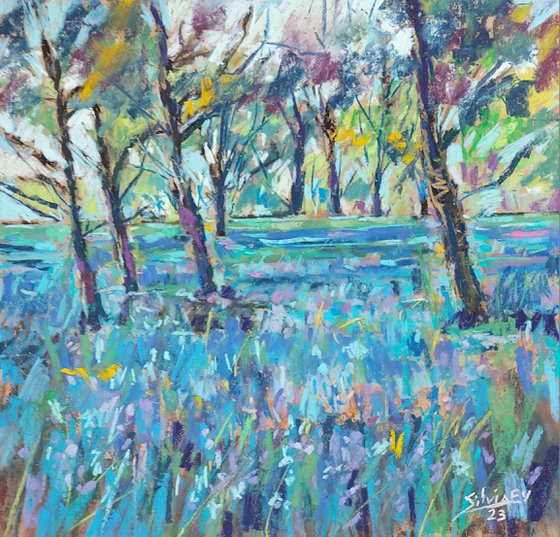 Irish bluebell forest